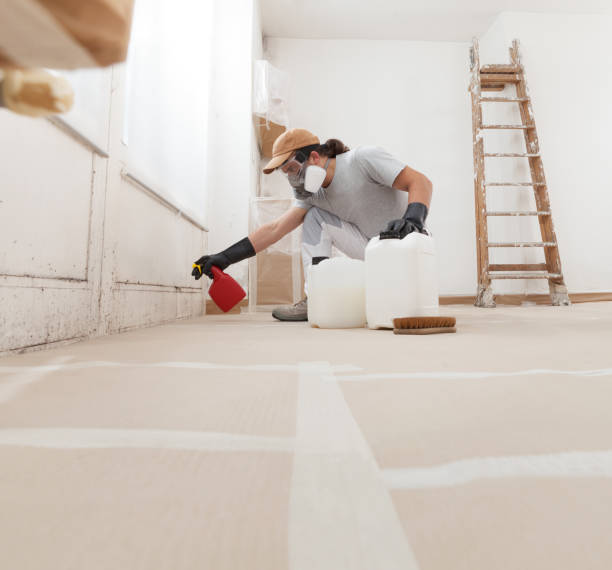 Coquille, OR Mold Removal Company