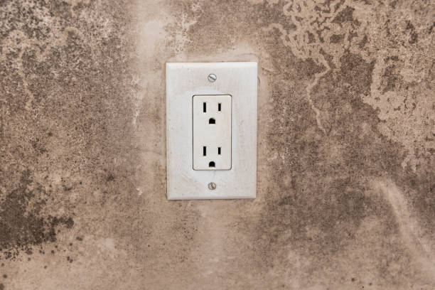 Best Forensic Mold Investigation  in Coquille, OR