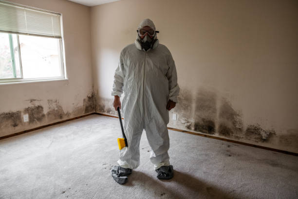 Best Post-Construction Mold Inspection  in Coquille, OR