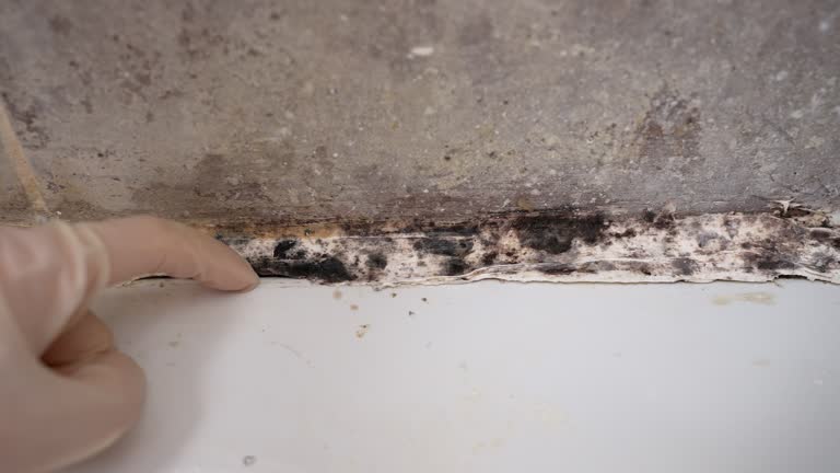Best Air Quality Testing for Mold Spores  in Coquille, OR